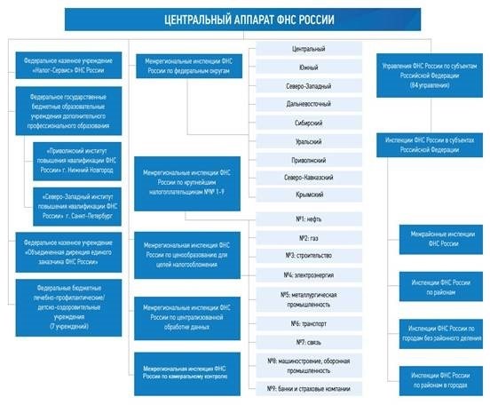 Организационная структура отдела финансово-экономической деятельности