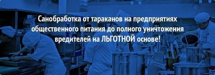 Этапы воздействия яда на насекомых