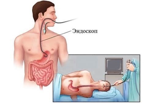 Категория годности 