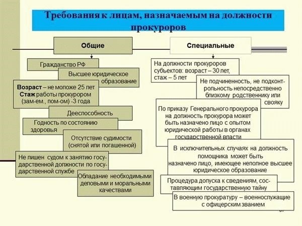 Какие документы должен предоставить владелец авто сотруднику ГИБДД?